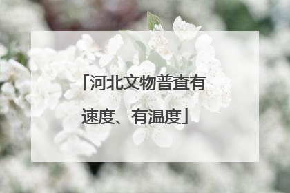河北文物普查有速度、有温度