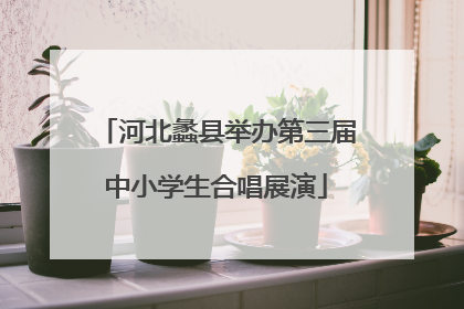 河北蠡县举办第三届中小学生合唱展演