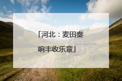 河北：麦田奏响丰收乐章