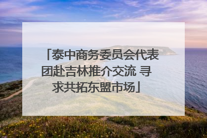 泰中商务委员会代表团赴吉林推介交流 寻求共拓东盟市场