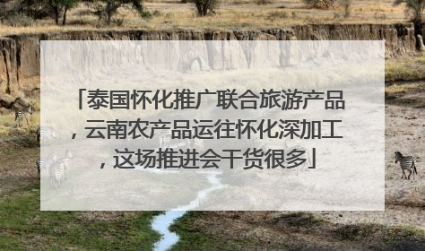 泰国怀化推广联合旅游产品，云南农产品运往怀化深加工，这场推进会干货很多