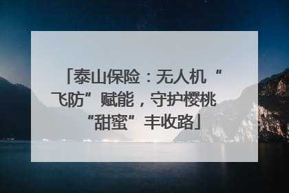 泰山保险：无人机“飞防”赋能，守护樱桃“甜蜜”丰收路