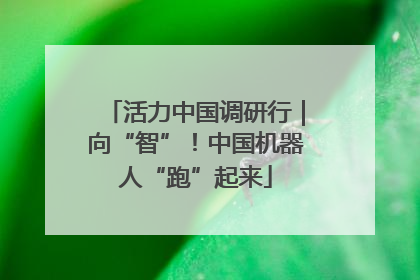 活力中国调研行｜向“智”！中国机器人“跑”起来