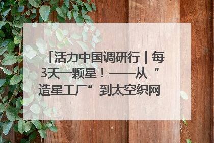 活力中国调研行｜每3天一颗星！——从“造星工厂”到太空织网的“银河速度”