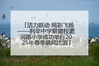 活力跃动 绳彩飞扬——利辛中学联盟校淝河路小学成功举行2025年春季跳绳比赛