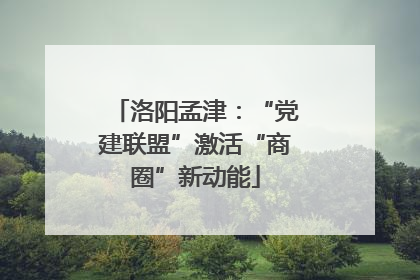 洛阳孟津：“党建联盟”激活“商圈”新动能