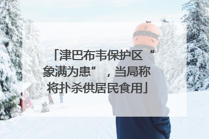津巴布韦保护区“象满为患”，当局称将扑杀供居民食用