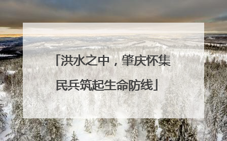 洪水之中，肇庆怀集民兵筑起生命防线