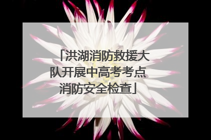 洪湖消防救援大队开展中高考考点消防安全检查