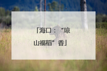 海口：“琼山福稻”香