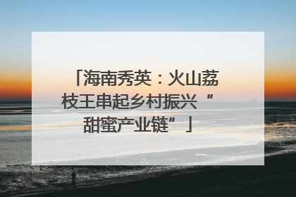 海南秀英：火山荔枝王串起乡村振兴“甜蜜产业链”
