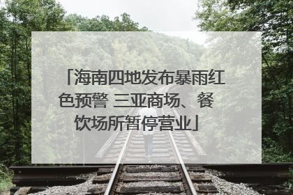 海南四地发布暴雨红色预警 三亚商场、餐饮场所暂停营业