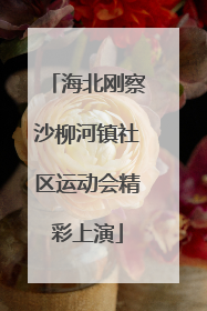 海北刚察沙柳河镇社区运动会精彩上演