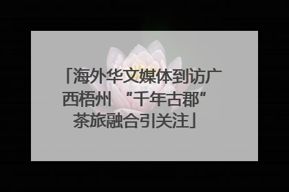 海外华文媒体到访广西梧州 “千年古郡”茶旅融合引关注