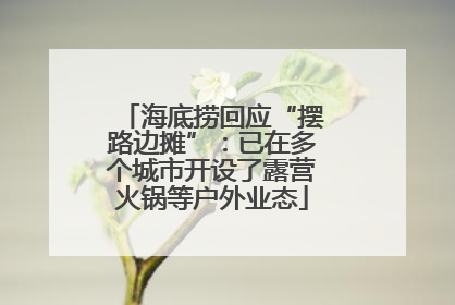 海底捞回应“摆路边摊”：已在多个城市开设了露营火锅等户外业态