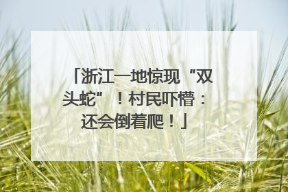 浙江一地惊现“双头蛇”！村民吓懵：还会倒着爬！