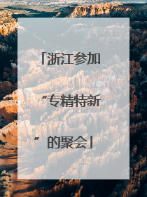 浙江参加“专精特新”的聚会