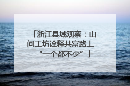 浙江县域观察:山间工坊诠释共富路上“一个都不少”