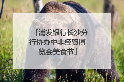 浦发银行长沙分行协办中非经贸博览会美食节