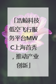 浩鲸科技低空飞行服务平台MWC上海首秀，推动产业创新
