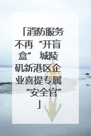 消防服务不再“开盲盒” 城陵矶新港区企业喜提专属“安全官”