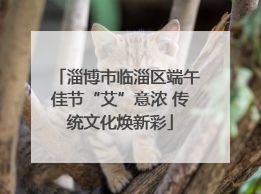 淄博市临淄区端午佳节“艾”意浓 传统文化焕新彩