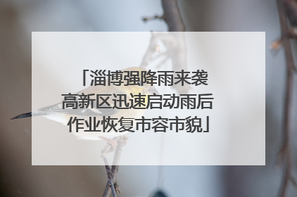 淄博强降雨来袭 高新区迅速启动雨后作业恢复市容市貌