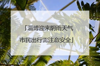 淄博迎来阴雨天气 市民出行需注意安全