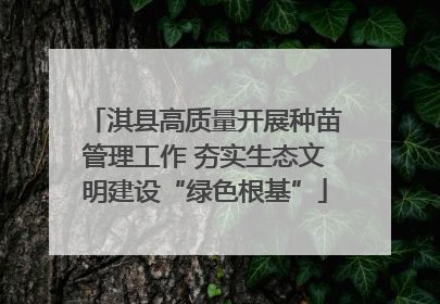 淇县高质量开展种苗管理工作 夯实生态文明建设“绿色根基”
