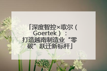 深度智控×歌尔（Goertek）：打造越南制造业“零碳”跃迁新标杆