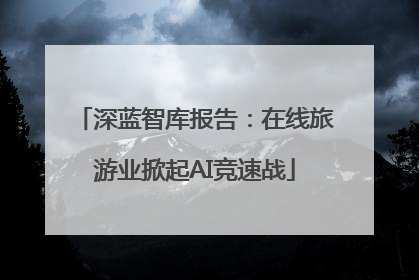深蓝智库报告：在线旅游业掀起AI竞速战