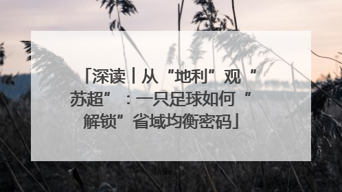 深读︱从“地利”观“苏超”：一只足球如何“解锁”省域均衡密码