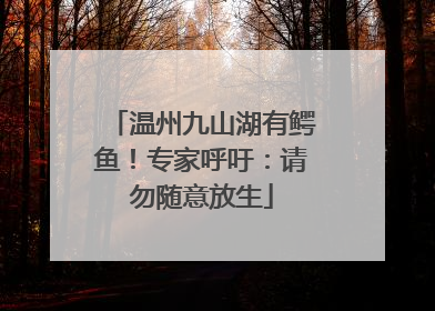 温州九山湖有鳄鱼！专家呼吁：请勿随意放生