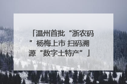 温州首批“浙农码”杨梅上市 扫码溯源“数字土特产”