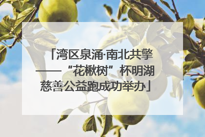 湾区泉涌·南北共擎——“花楸树”杯明湖慈善公益跑成功举办