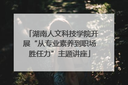 湖南人文科技学院开展“从专业素养到职场胜任力”主题讲座