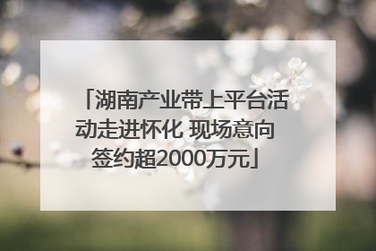 湖南产业带上平台活动走进怀化 现场意向签约超2000万元