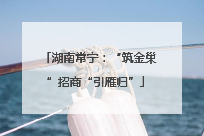 湖南常宁：“筑金巢”招商“引雁归”