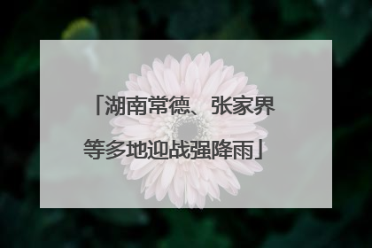 湖南常德、张家界等多地迎战强降雨