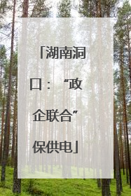 湖南洞口：“政企联合”保供电