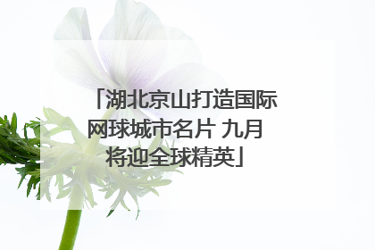 湖北京山打造国际网球城市名片 九月将迎全球精英