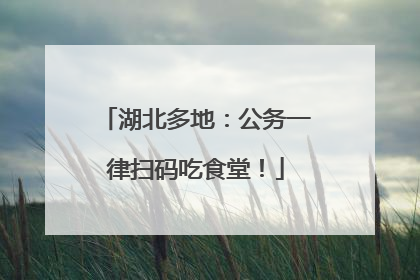 湖北多地：公务一律扫码吃食堂！