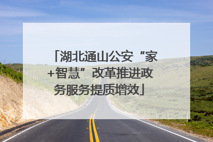 湖北通山公安“家+智慧”改革推进政务服务提质增效