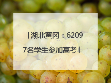 湖北黄冈：62097名学生参加高考