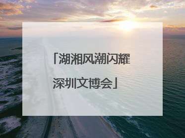 湖湘风潮闪耀深圳文博会