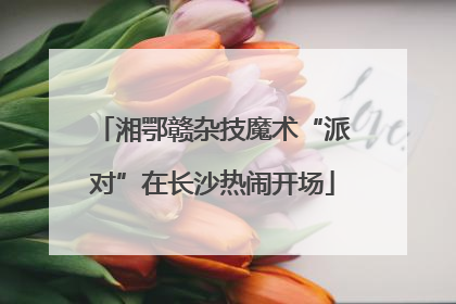 湘鄂赣杂技魔术“派对”在长沙热闹开场