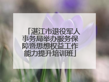湛江市退役军人事务局举办服务保障暨思想权益工作能力提升培训班