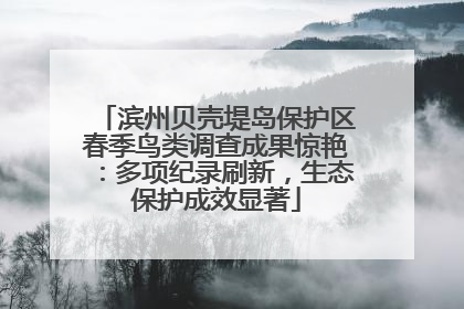 滨州贝壳堤岛保护区春季鸟类调查成果惊艳：多项纪录刷新，生态保护成效显著