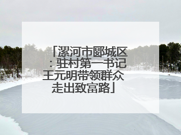 漯河市郾城区：驻村第一书记王元明带领群众走出致富路