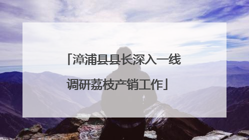 漳浦县县长深入一线调研荔枝产销工作